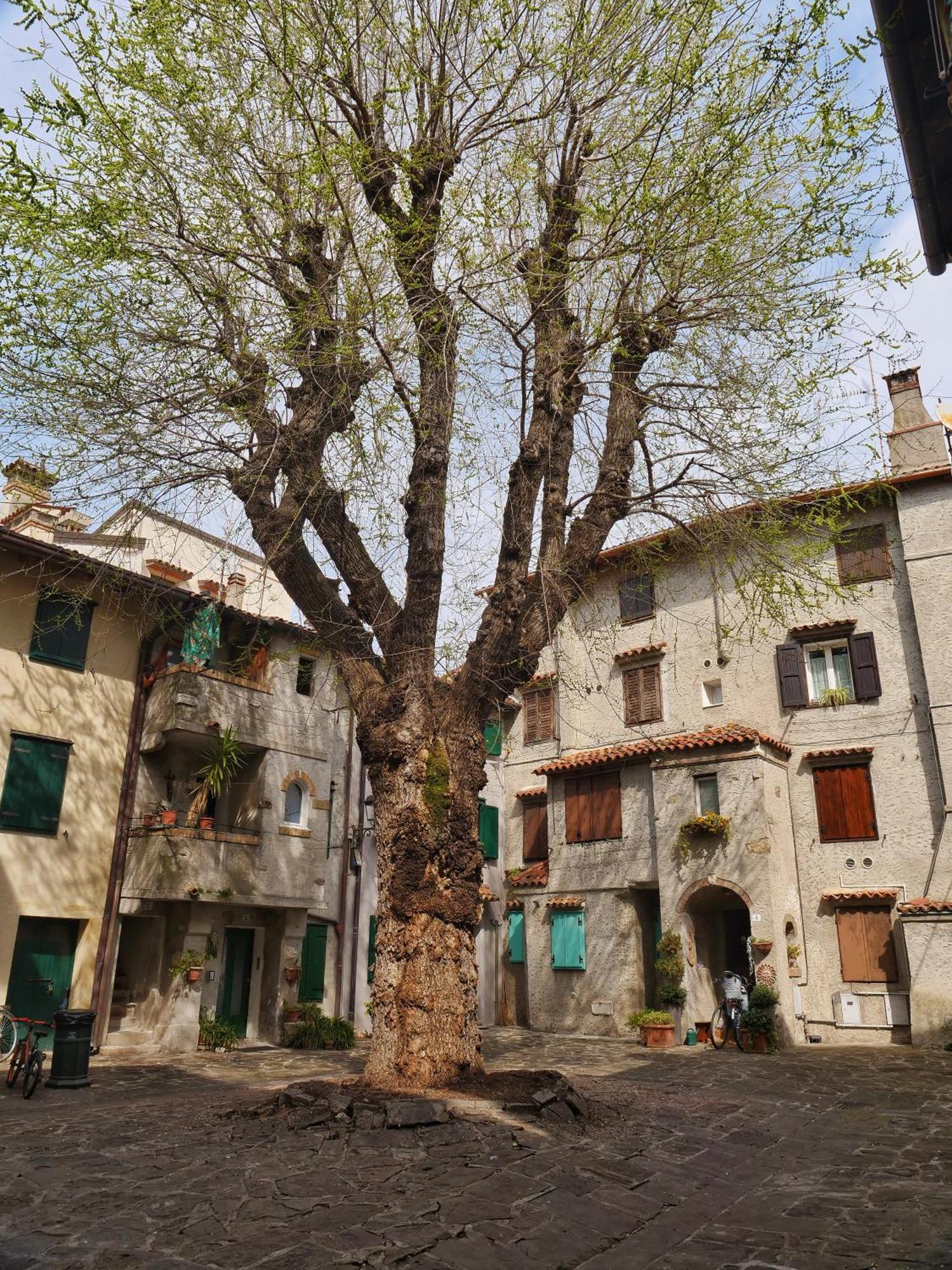 Casa Vianella - Romantico Monolocale Per Vivere Come Una Volta Grado Zewnętrze zdjęcie